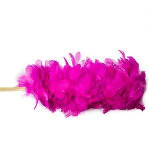 Plumero de Pluma 50 cm.